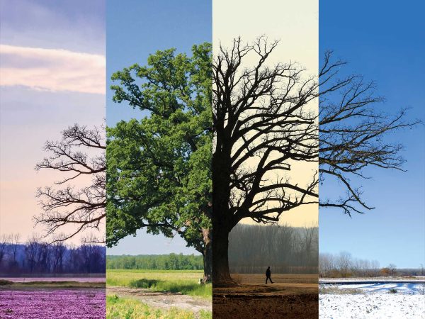 each representing a season: spring with flowers