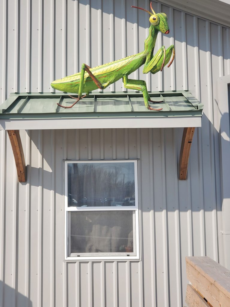 Ccua Schoolhouse Grasshopper Sculpture On Window Awning
