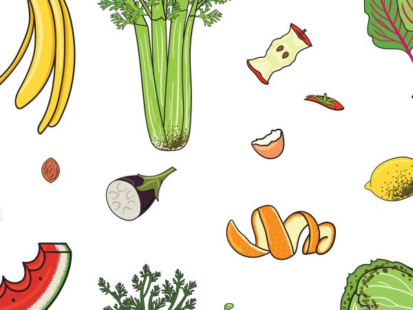 compostable-food