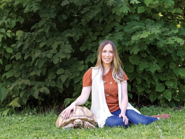 creature-comforts-jill-swain