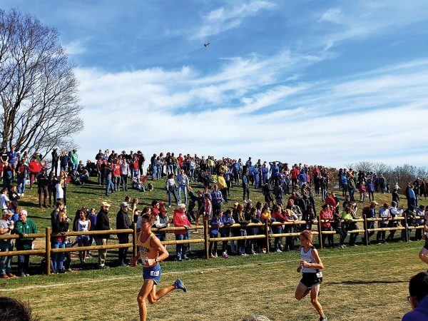 cross-country-race