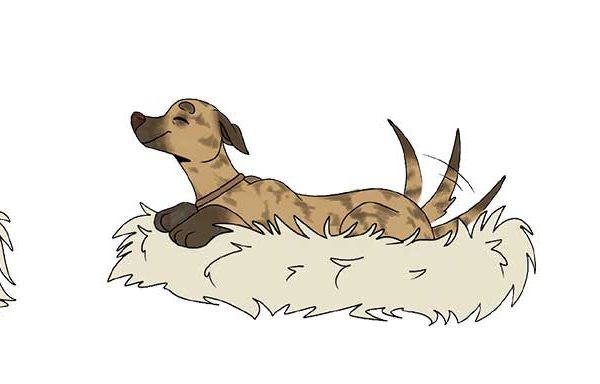 dodger-illustrations