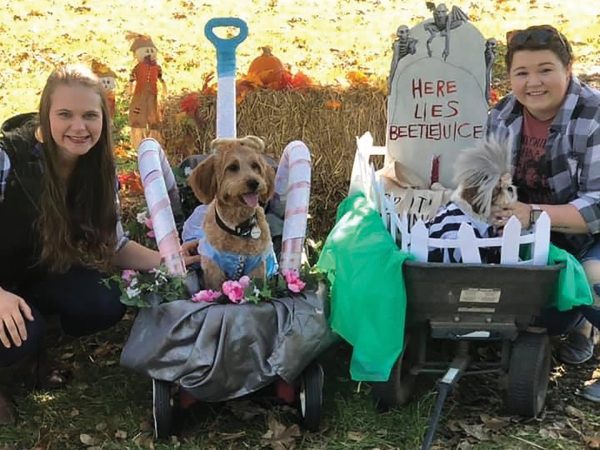 dogs-and-their-owners-participating-in-a-halloween-costume-contest-featuredimage