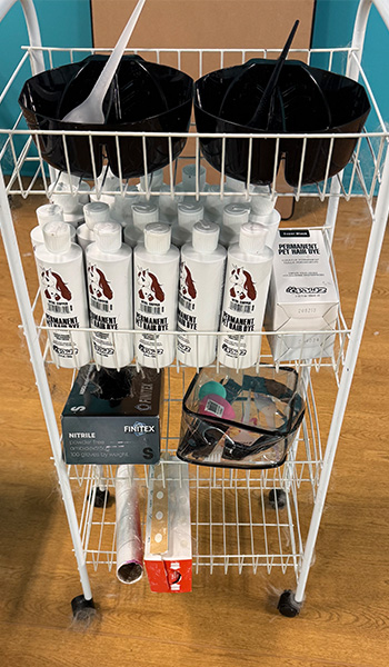 Dying Supplies