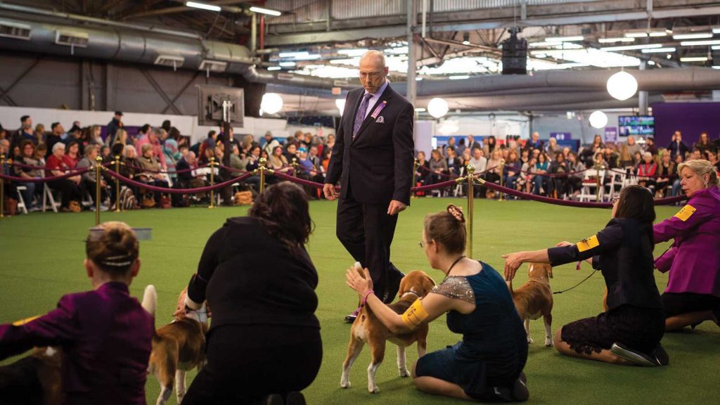 adjusting their stance. An audience watches from behind ropes. The setting is a large