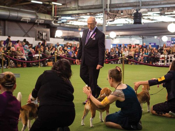adjusting their stance. An audience watches from behind ropes. The setting is a large