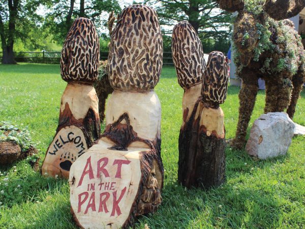 Featured Art In The Park
