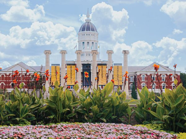 featured-canna-striata-and-sunpatiens-eighth-street-circle-garden-caldwell