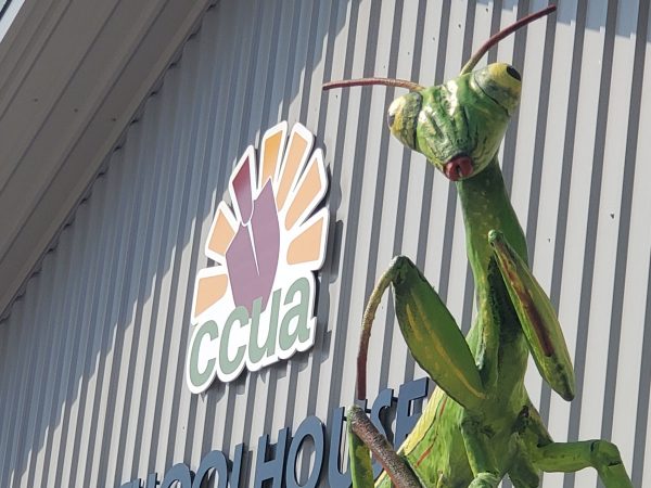 featured_ccua-schoolhouse-grasshopper-sculpture-1