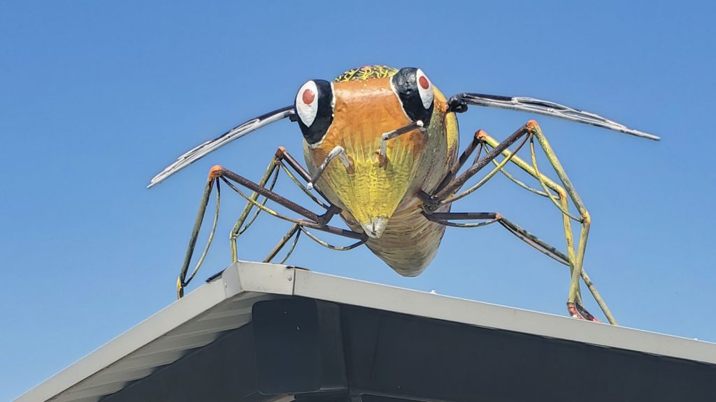 Featuredv2 Ccua Insect Sculpture
