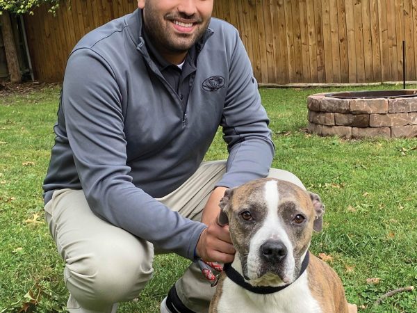 smiling at the camera.|A man is crouching next to a brown and white dog in a grassy backyard with a wooden fence and trees. The man is smiling and wearing a gray jacket and beige pants. The dog is sitting calmly beside him.