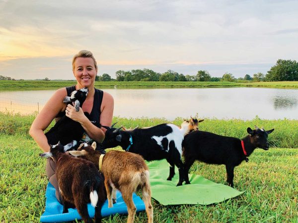 a women on a green yoga mat has a brown goat on her back|A group of people in a outdoor pasture on colorful yoga mats with two goats on their back|in a outdoor pasture