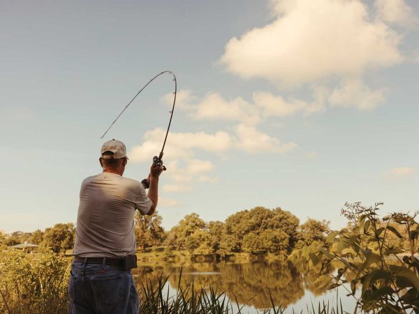 knerr-stephens-lake-fish