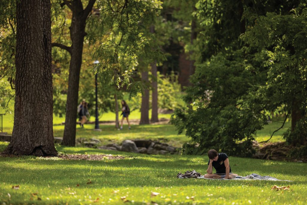 Mizzou Student Under Tree Shade Peace Park Lankitus