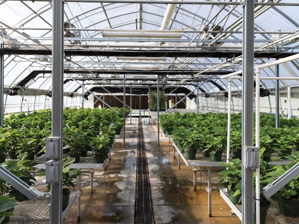 mu-greenhouse