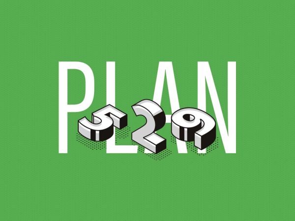 3D style overlaid on it. The background is a solid green color.|Bold text on a green background reads PLAN 529 with 3D effects on the numbers. Below