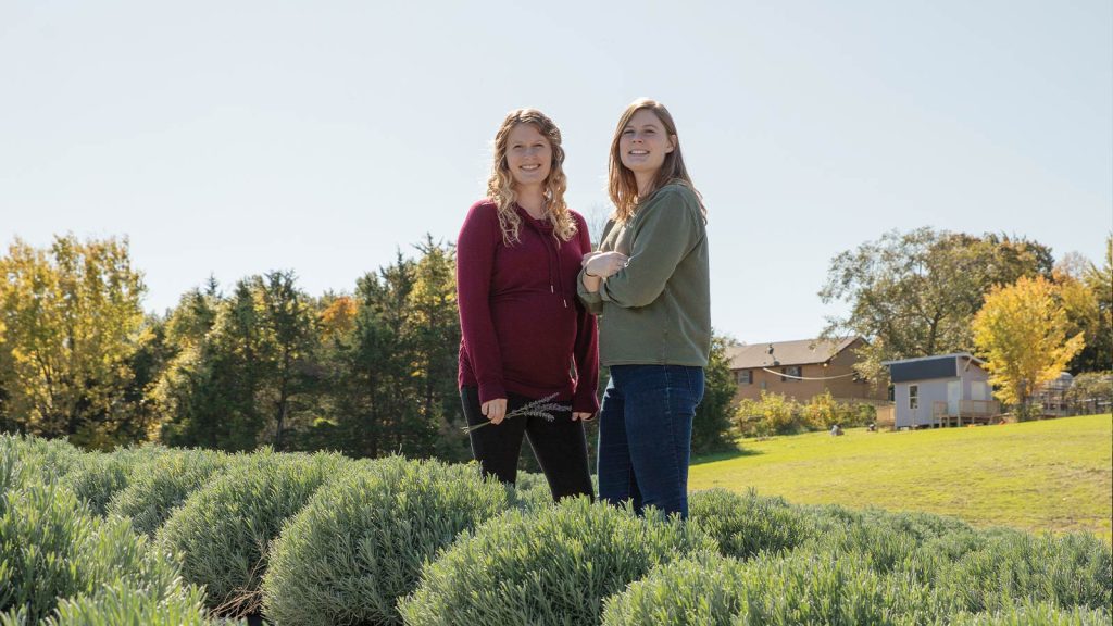 the other a green one. A house and trees with autumn foliage are in the background under a clear blue sky.|Two people walking a dog on a gravel path through a lavender field under a clear blue sky. Sunlight illuminates the scene
