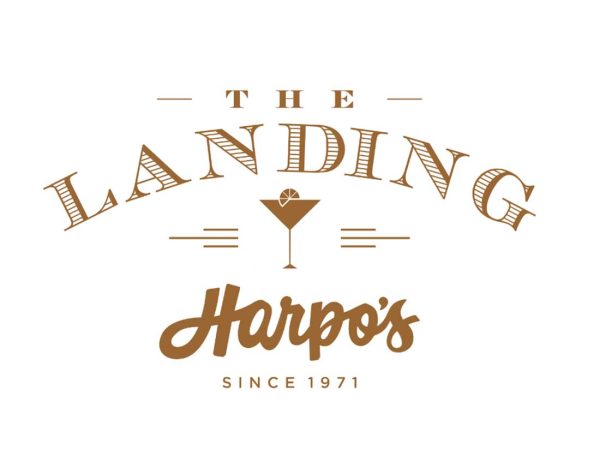 the-landing-ai