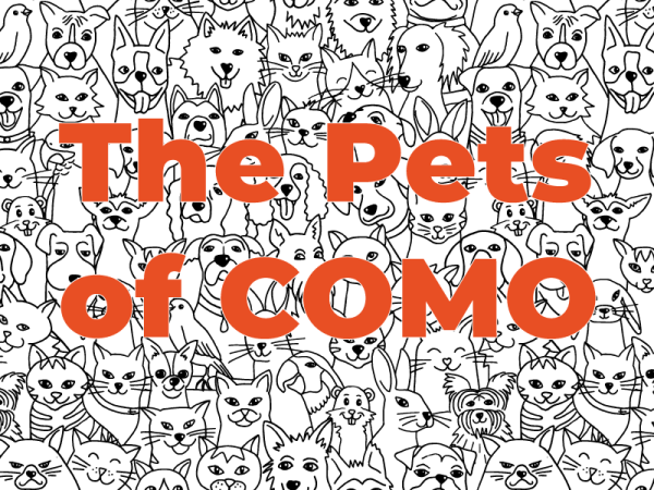 the-pets-of-como