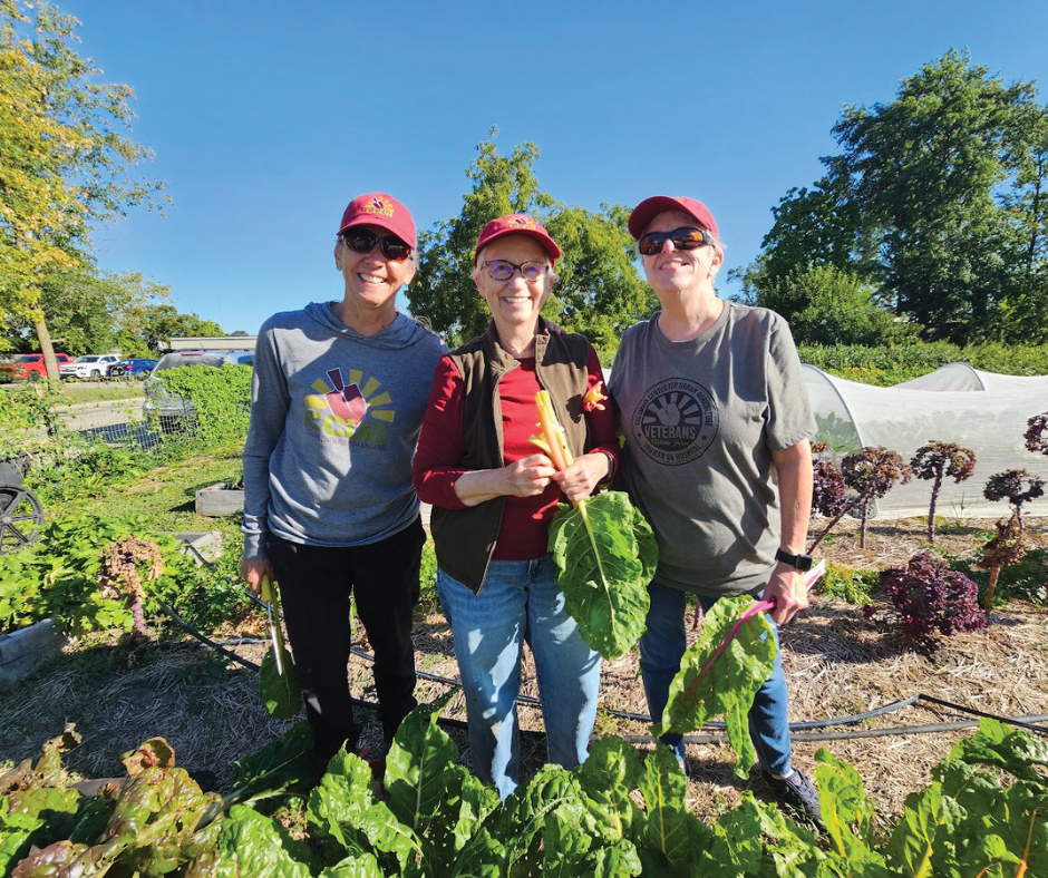 Trio Of Volunteers Picking Produce Ccua