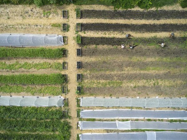 veteran-urban-farm-columbia-1