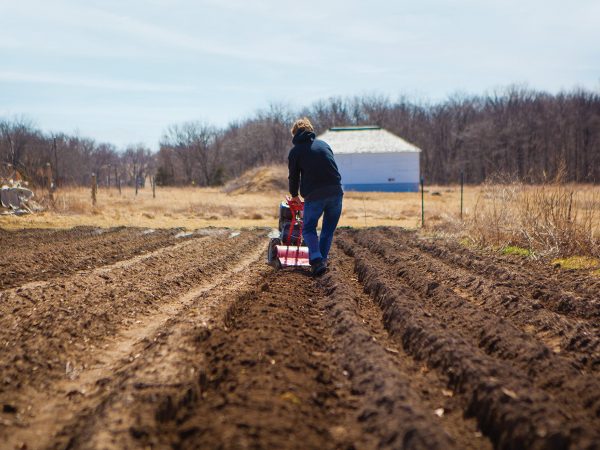 his farm in Hatton.|Broadway Brewery BLT Pizza|Broadway Brewery Menu Options|Broadway Brewery Patchwork Farms Beer|Walker Claridge planting lettuce.|Broadway Brewery Salad|Broadway Brewery Cheese Curds