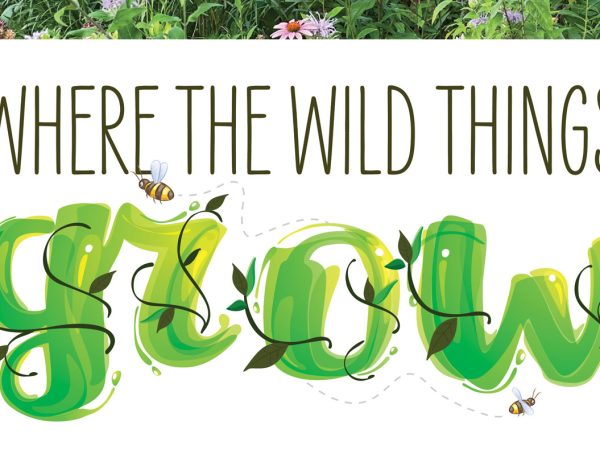 where-the-wild-things-grow