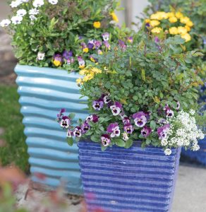 ceramic-plant-pottery