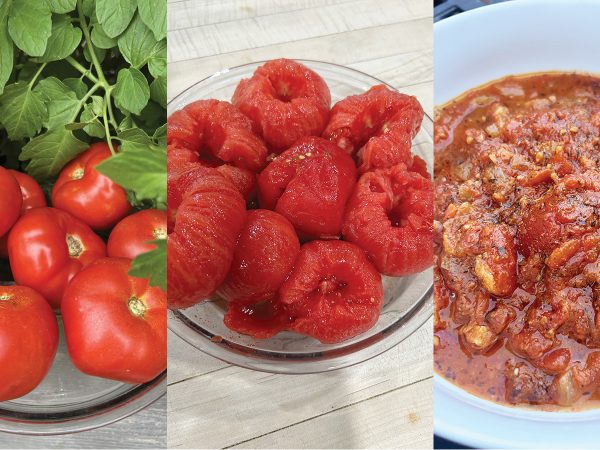 featured-stewed-tomatoes-marinara-sauce