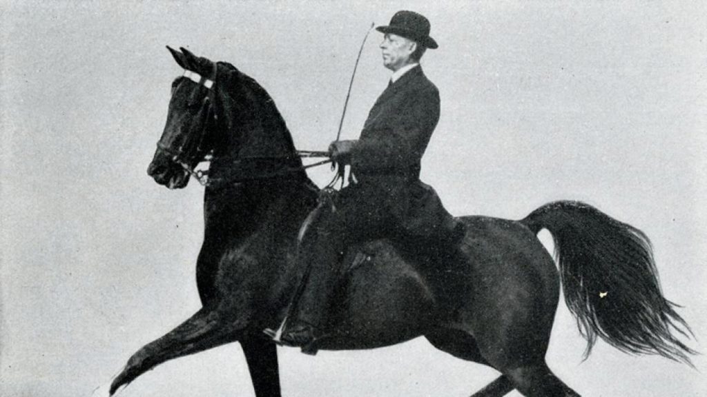 tom-bass-on-horse-belle-beach