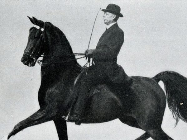 tom-bass-on-horse-belle-beach