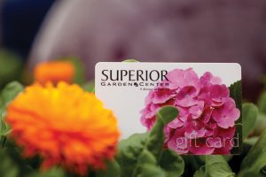 superior-garden-center-rost-gift-card