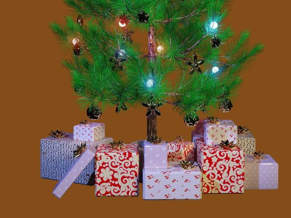 christmas-tree-6838472_1280