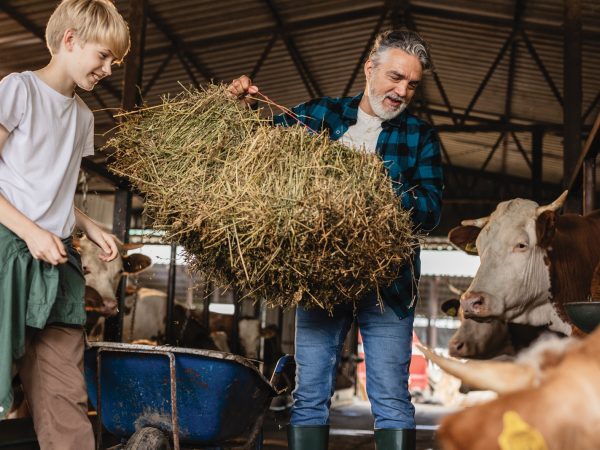 kid-helping-dad-with-farm-chores