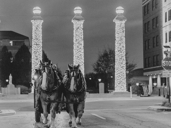 HorseDistrict-25