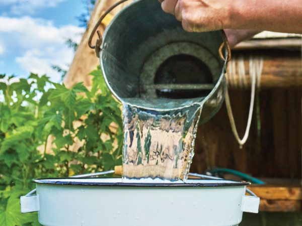 Man pouring water just taken up from a well into a enameled bucket