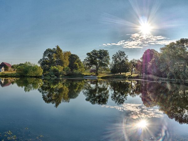 Nifong Park