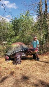 feilbach july turtle