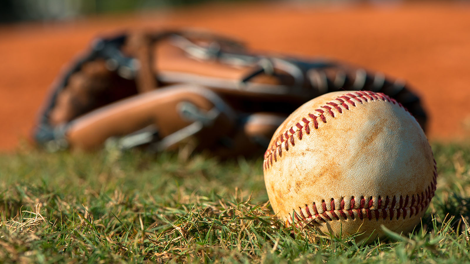 New ‘Professional-Grade’ Baseball League Seeking Property for Columbia Expansion - COMO Magazine